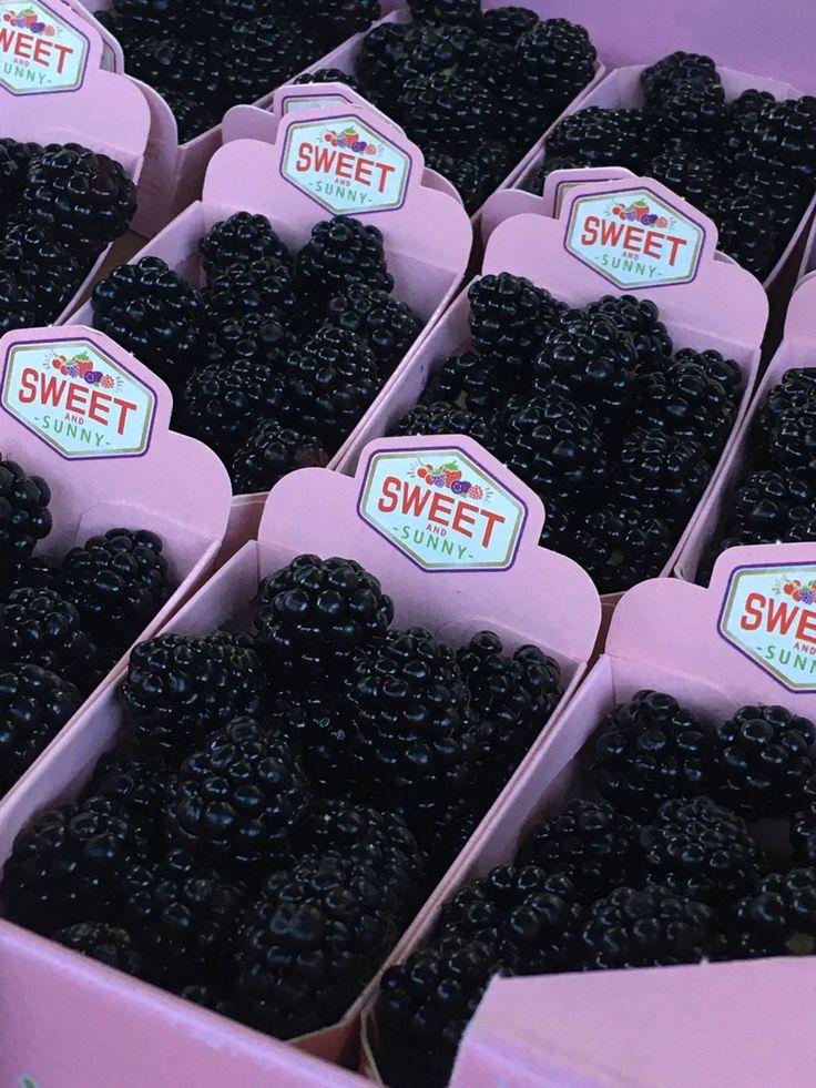 Wholesome Berries Farmstand Collection